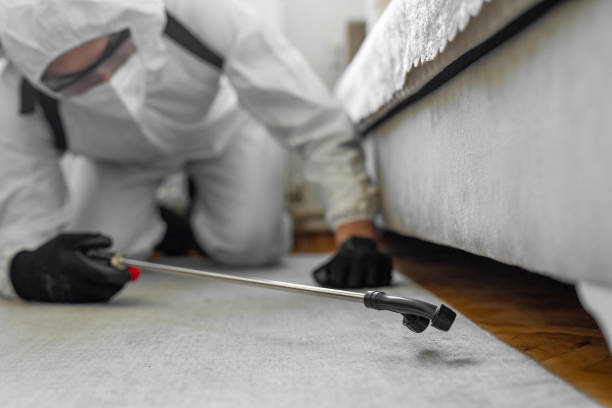 Professional Pest Control technician working in Huntington Station, NY