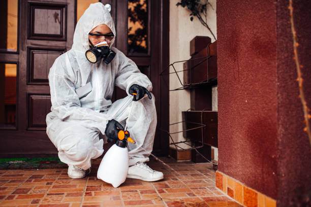 Reliable Mosquito Control contractor in Huntington Station, NY by Nex Pest Control