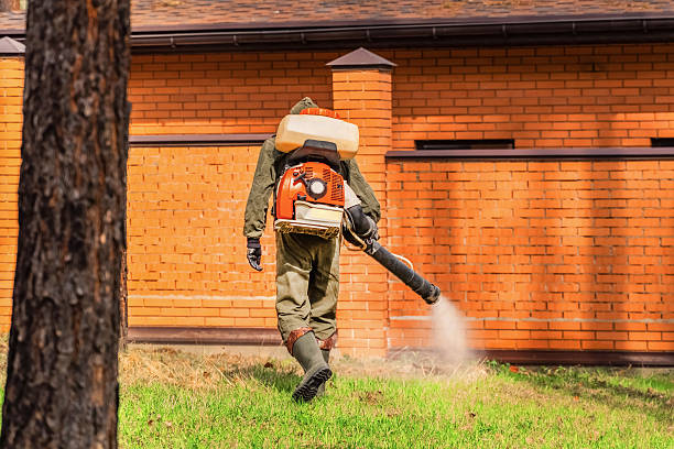 Trusted Emergency Pest Control service in Huntington Station, NY - Nex Pest Control